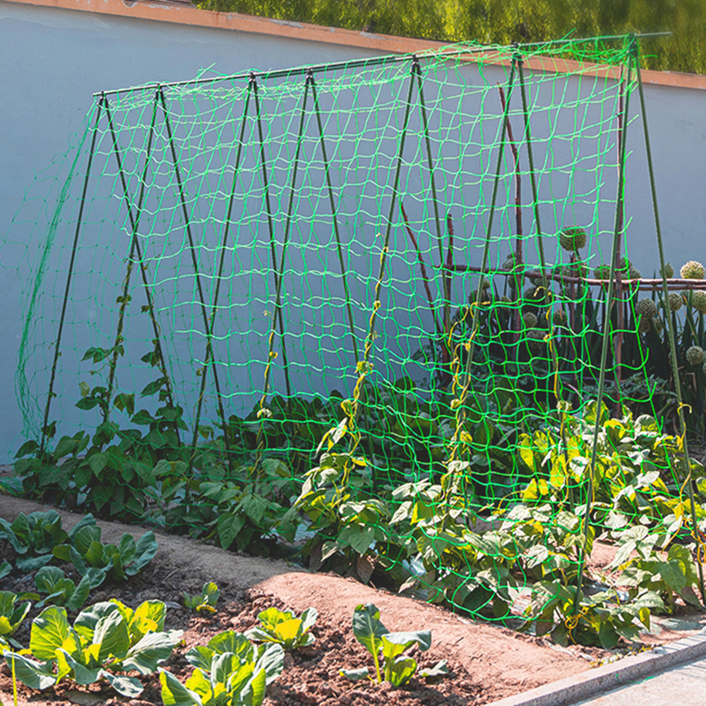 Planting Growing Net Heavy Duty Garden Netting Nylon Plant Support Climbing Net For Climbing ...