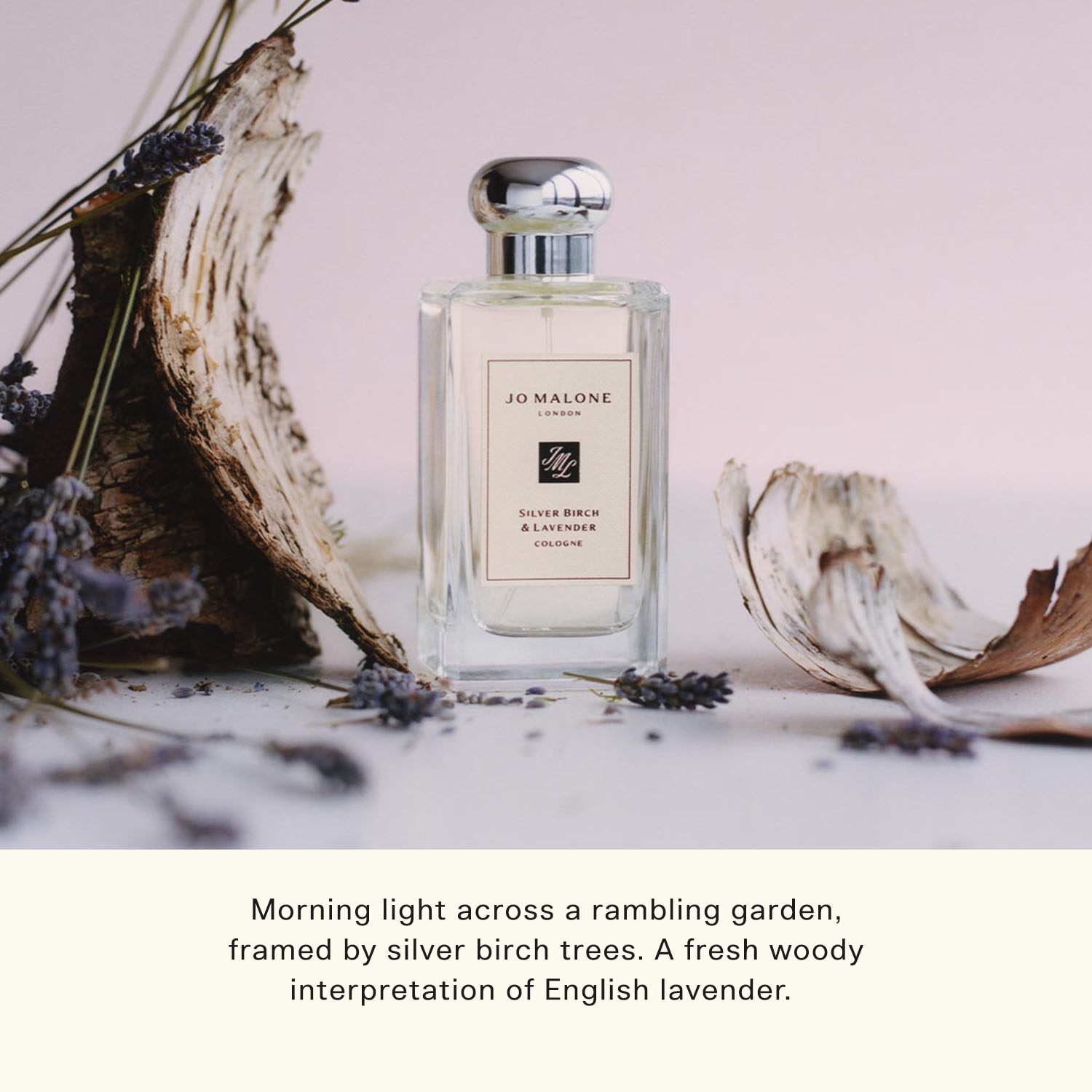  24 31 aug only jo malone london cologne 100ml best seller english