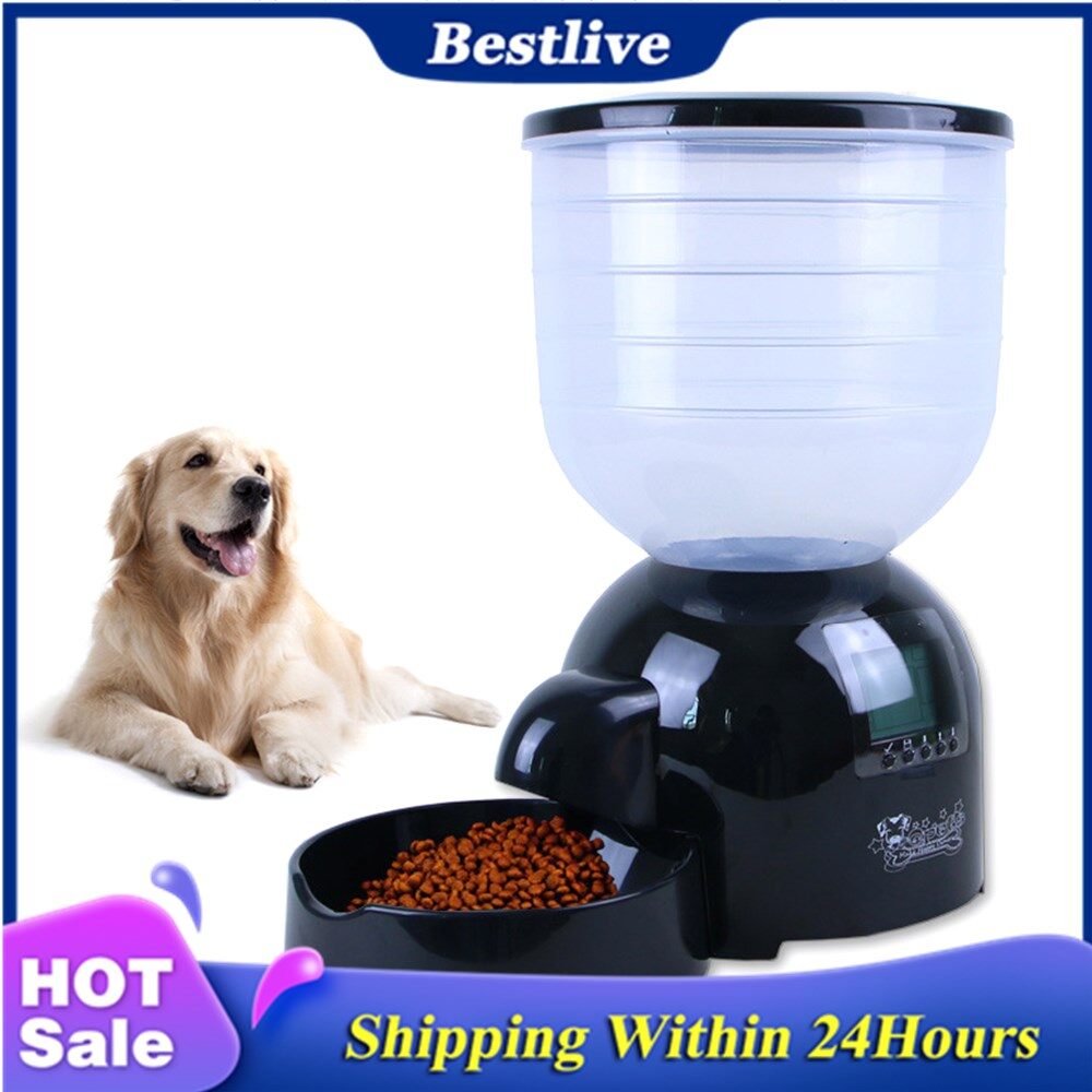 automatic dog food dispenser for large dogs
