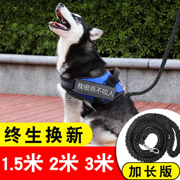 large breed dog leash