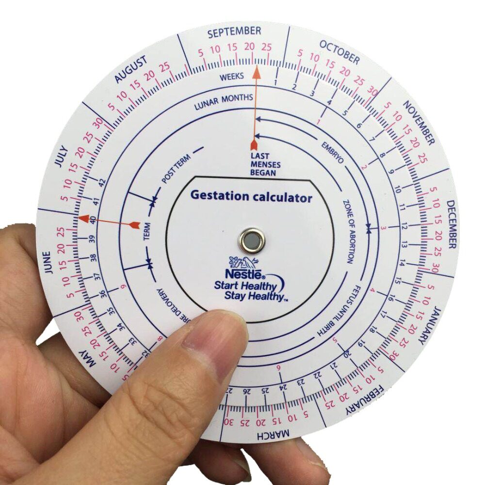 gestation-goniometer