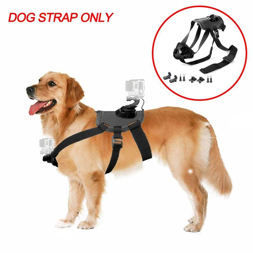 gopro dog mount