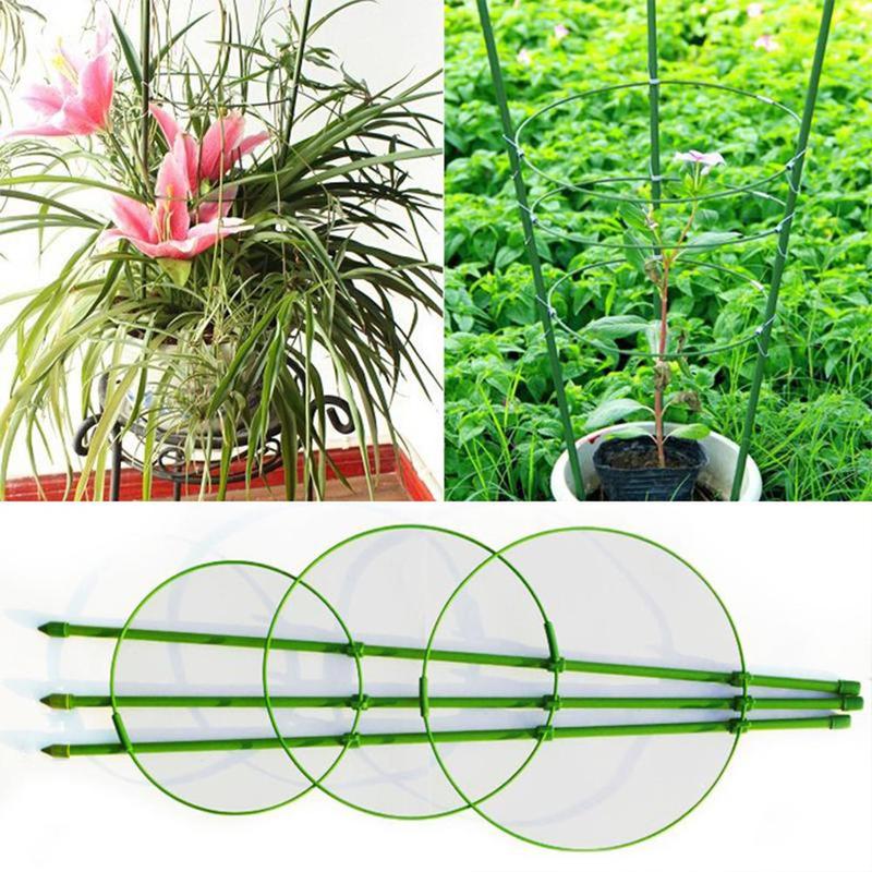 Hot Durable Climbing Plant Support Cage Garden Trellis Flower Tomato And Stand 3 Ring Gardening Tools Tomato Cage 45cm 90cm Lazada Ph