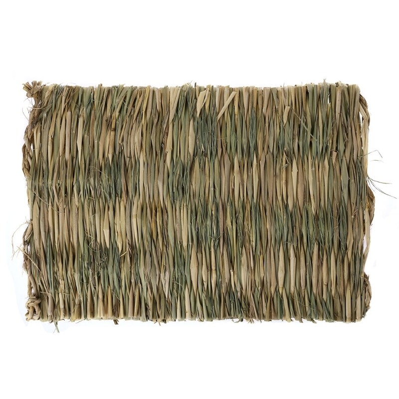 Rab-bit Grass Chew Mat Động Vật Nhỏ Hams-ter Gui-Nea Chuồng Lợn Lồng Giường Nhà Pad