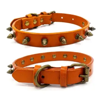 dog anti bite collar