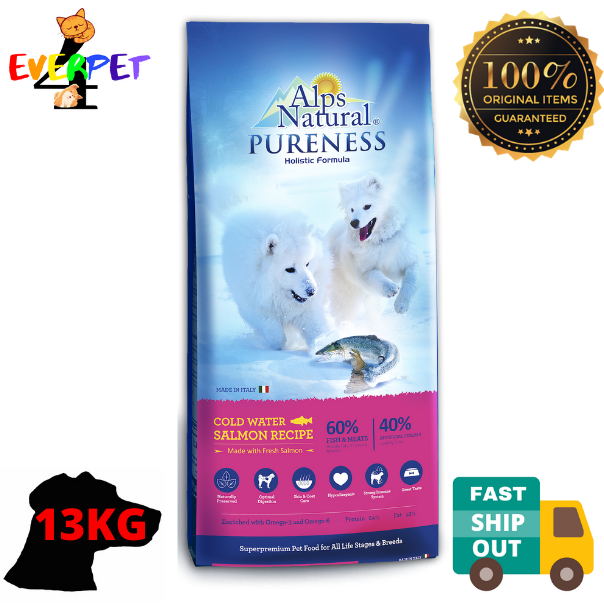 Can I Give My Dog Cold Water