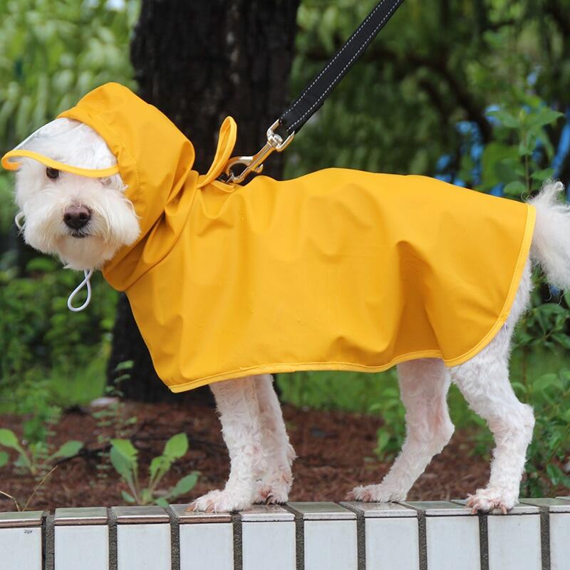 small raincoat