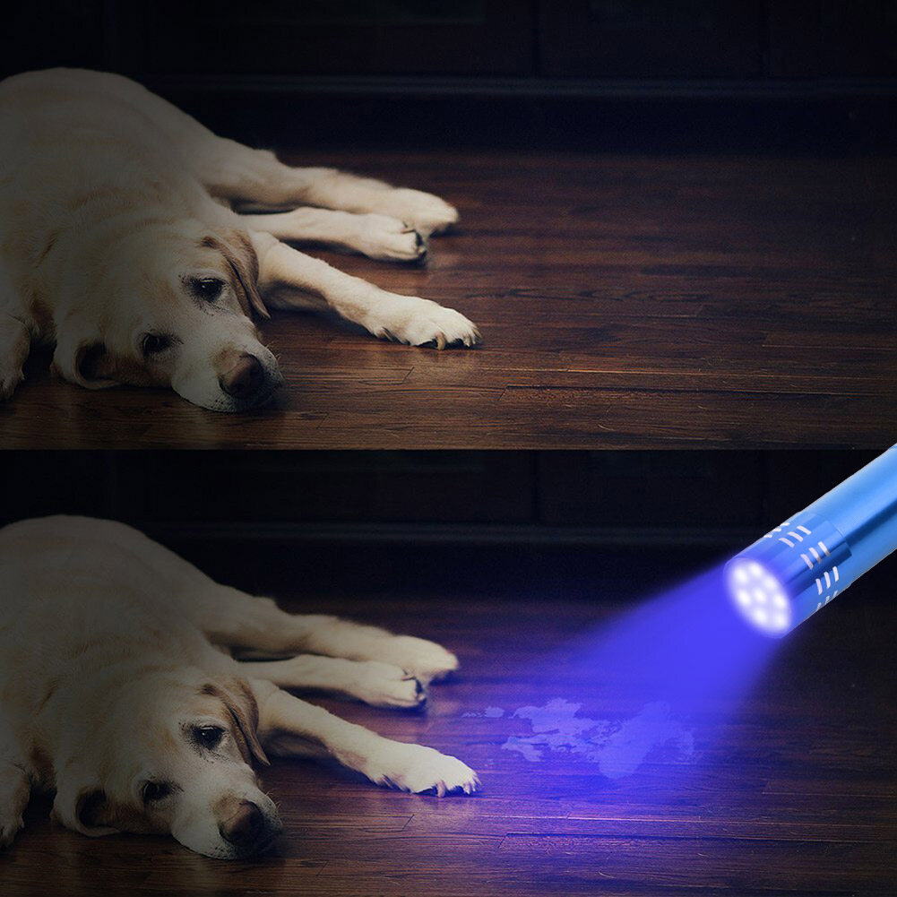 395nm Ultraviolet 9 LED Flashlight Portable Money Detection UV Light Torch