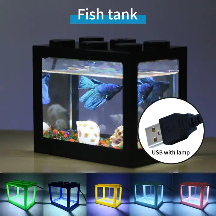 fish tank aquarium store