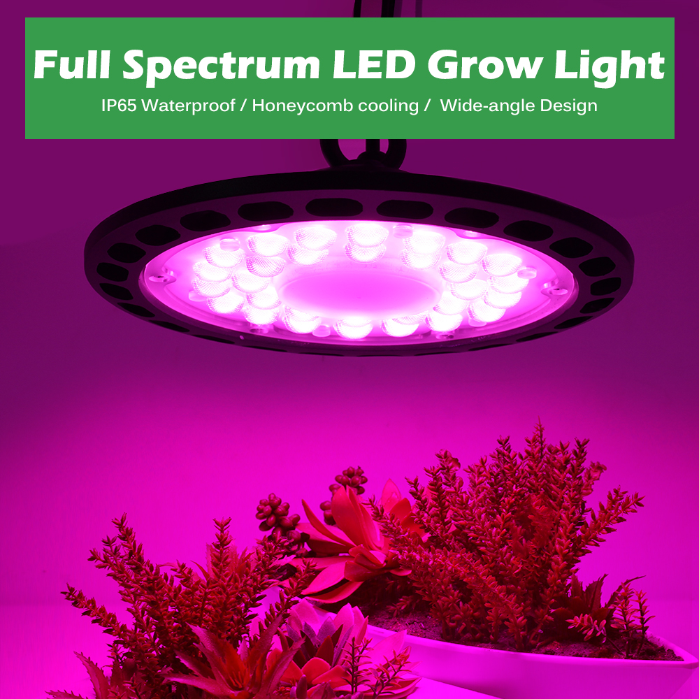 LED Grow Light Phyto Lamp AC 220V Full Spectrum Lamp for Plants 100W ...