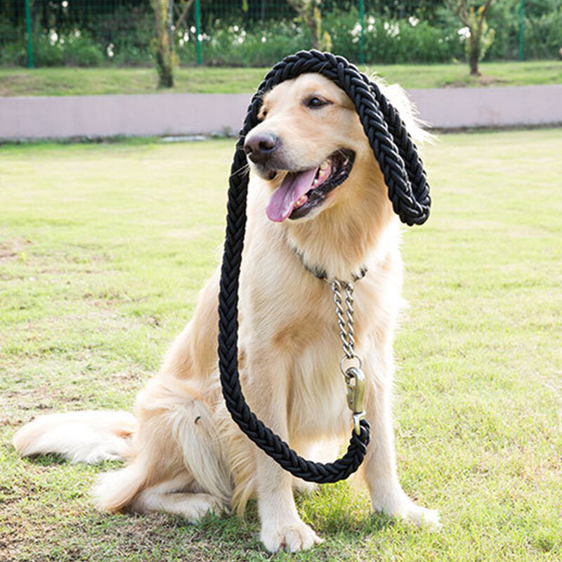 thick braided dog leash