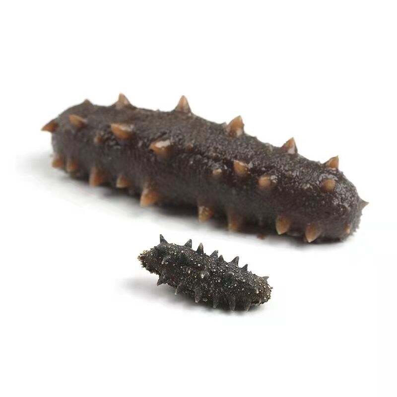 Dalian deepsea sowing sea cucumber! Liao sea cucumber light dry sea