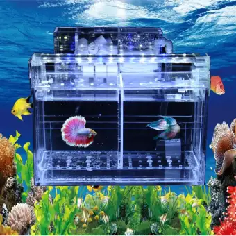 mini desktop fish tank