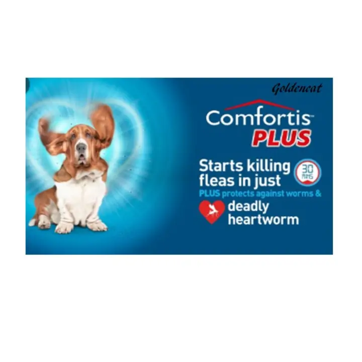 comfortis ticks