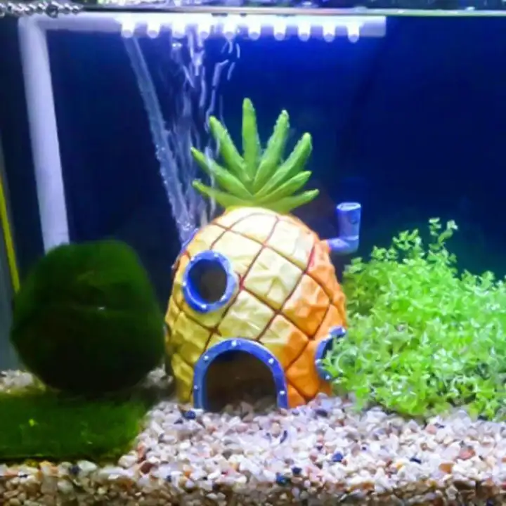 Mini Aquarium For Spongebob Squidward House Pineapple Cartoon