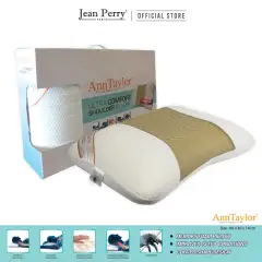 ann taylor bamboo charcoal pillow