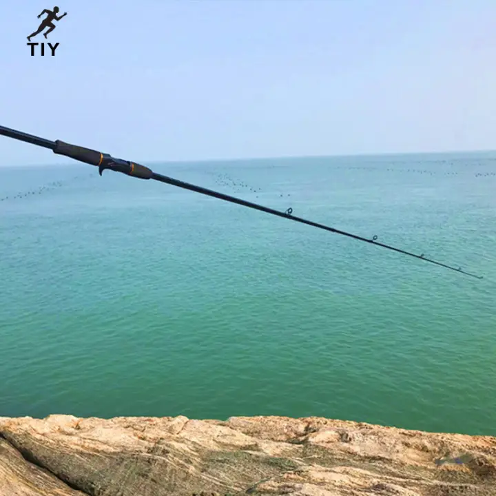 best fishing pole for ocean
