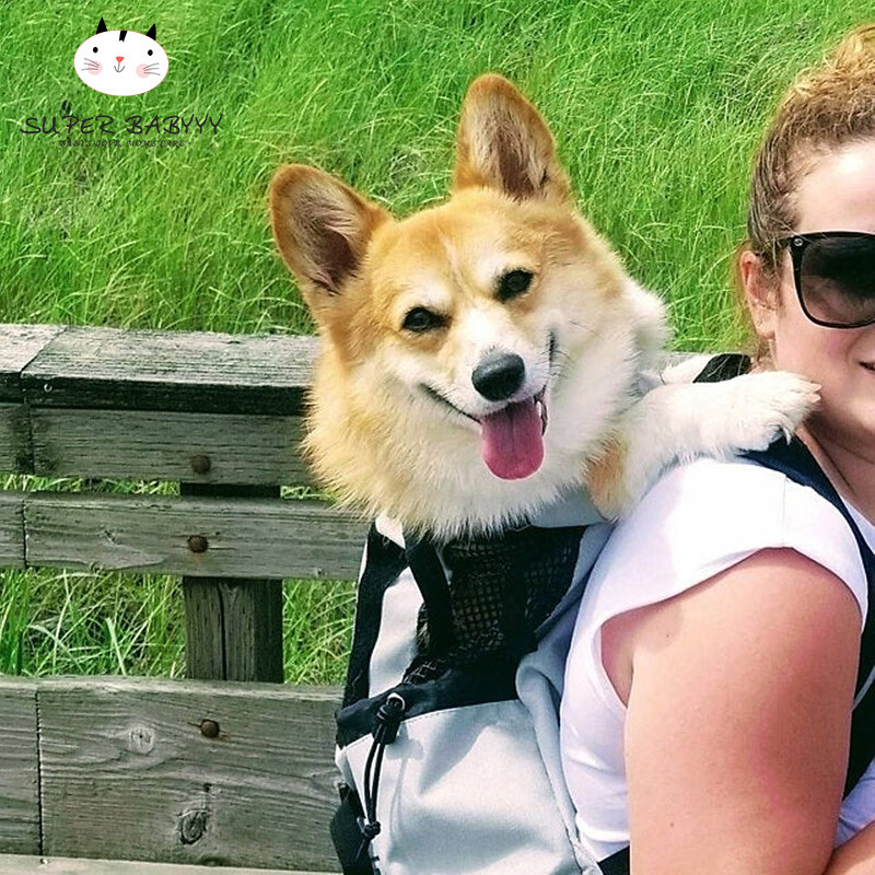 corgi backpack carrier