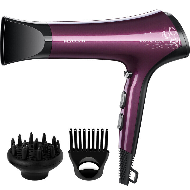 Flyco FH6273 Hair Dryer High Power Hair Dryer Home Barber Shop Special ...