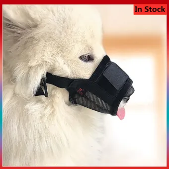 dog mouth strap