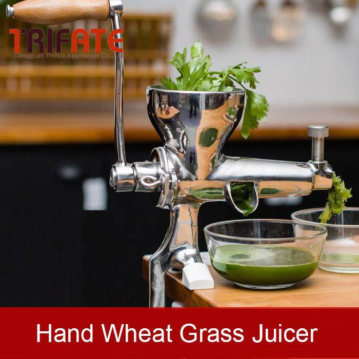 Grass juicer outlet