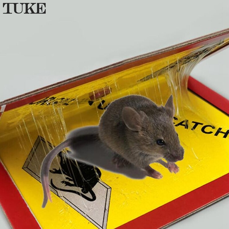 Efficient sticky mouse board super strong big rat paste household mousetrap rat poison rat glue boards clip