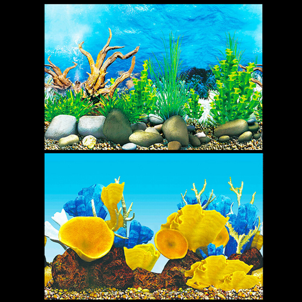 Hồ Cá Nền Poster Đại Dương Tự Dính Bể Cá Backdrop Sticker Trang Trí