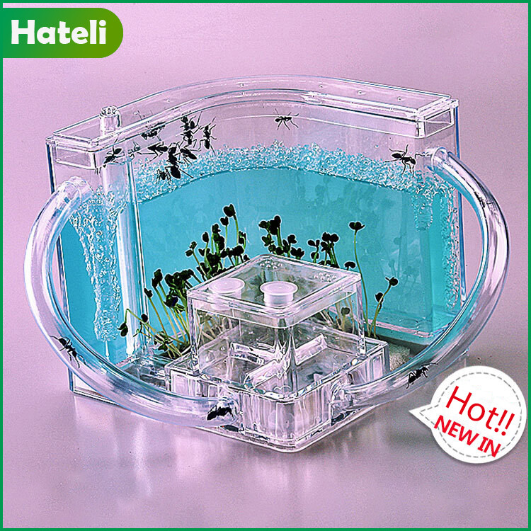 【HATELI】Pet House Ant Castle Ant Villa Home Castle Children's Educational Toys Children's Toys Ant farm Science Toys