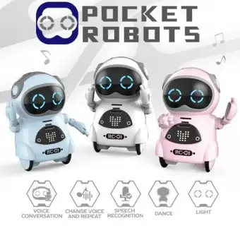 mini pocket robot