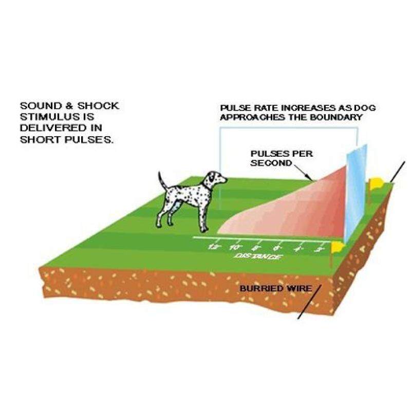 Pet Training Control Collar Underground Dog Electric Fence Device Fencing System Malaysia
