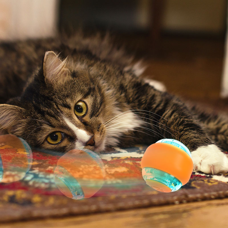 HamshMoc Automatic Cat Toy Interactive Cat Toy Ball USB Rechargeable Auto Moving Auto On Off with LED Light for Activity Indoor for Cats Kitten
