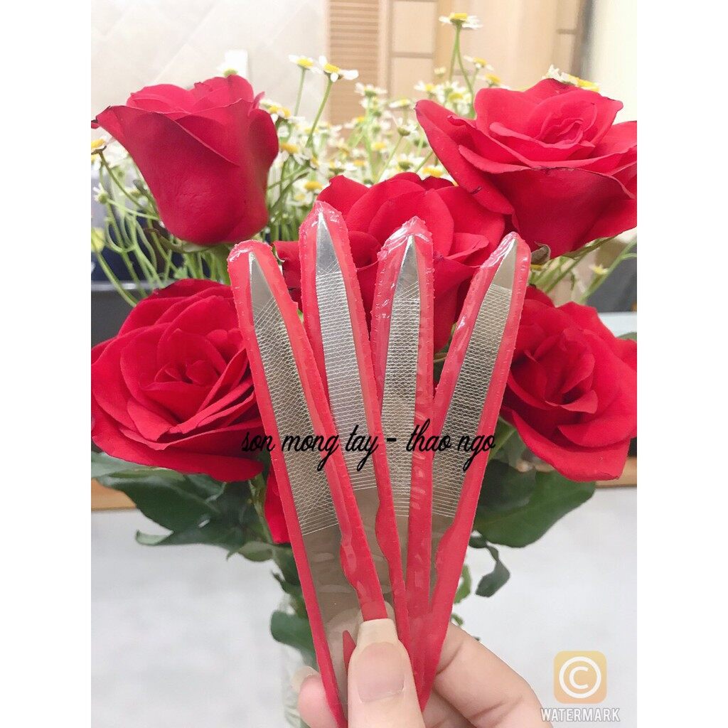 2 dũa móng sắt
