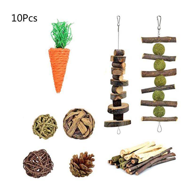 10 Cái/bộ Đồ Chơi Tập Nhai Cho Chuột Hamster Chăm Sóc Răng Tập Thể Dục Bằng Gỗ Tự Nhiên Đồ Chơi Hoạt Động Nhai Quà Tặng Cho Thỏ