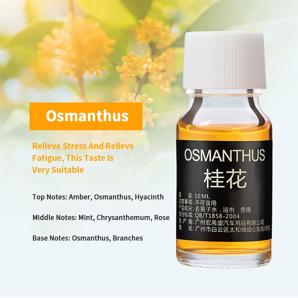 10PCS 10ml Car Perfume Refill Air Freshener Natural Plant Essential Oil Aroma Diffuser Fragrance Humidifier Essential Oil Freshener