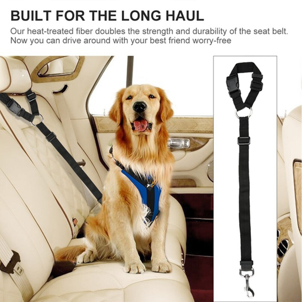 best dog seat belt