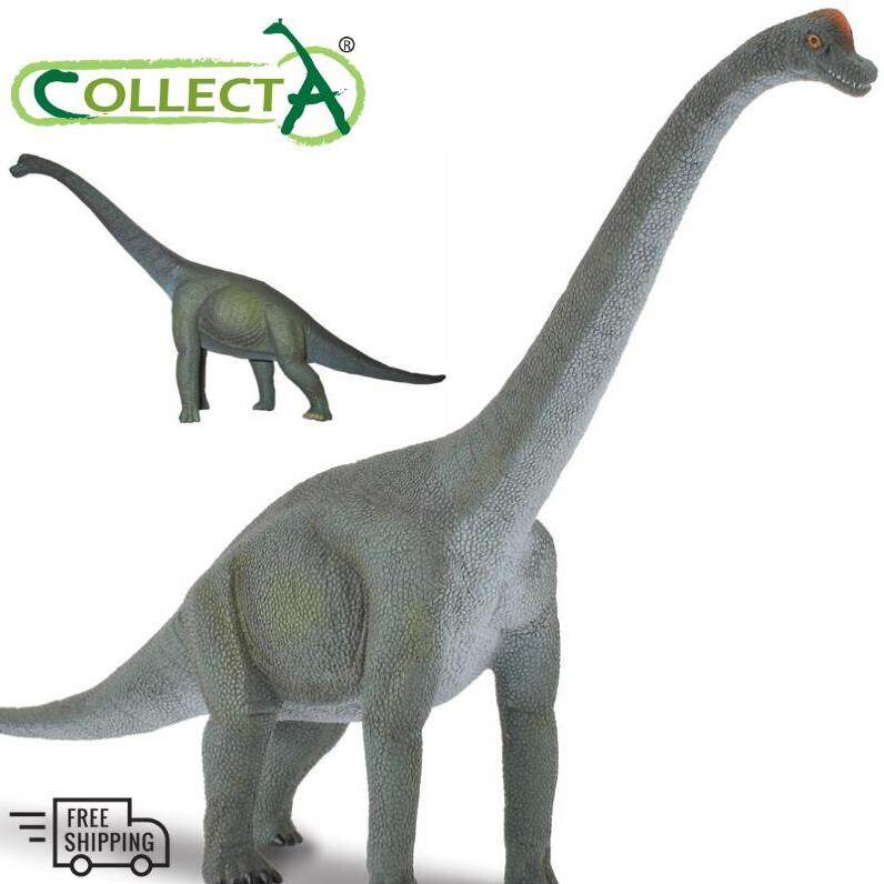 Collecta brachiosaurus store