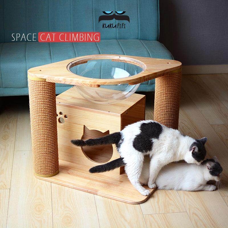 sphere cat bed