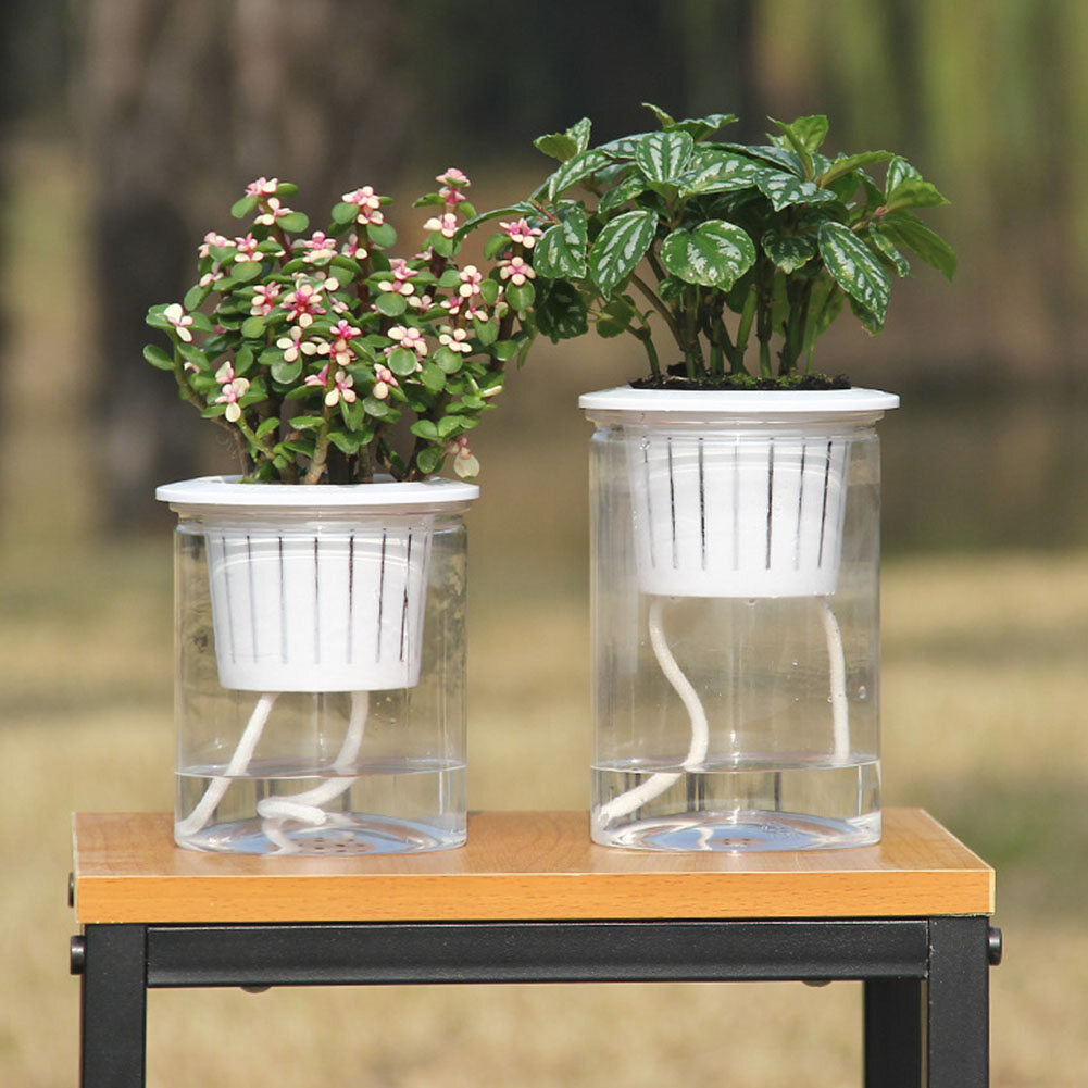 Farfi Clear Automatic Water Absorption Self Watering Hydroponic Flower Pot Planter