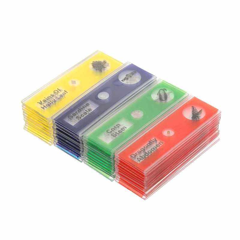 48pcs/set Plastic Prepared Microscope Slides Animals Insects Plants Sample Specimens Slides Set with Color Labels for Kids Students (Standard) Malaysia