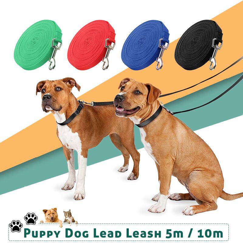 long line leash training