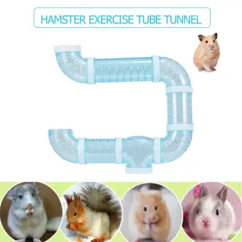 hamster toy