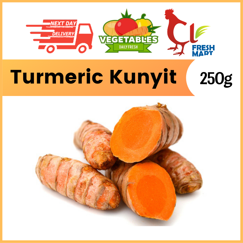 Turmeric Kunyit Hidup 500g 姜黄 Lazada