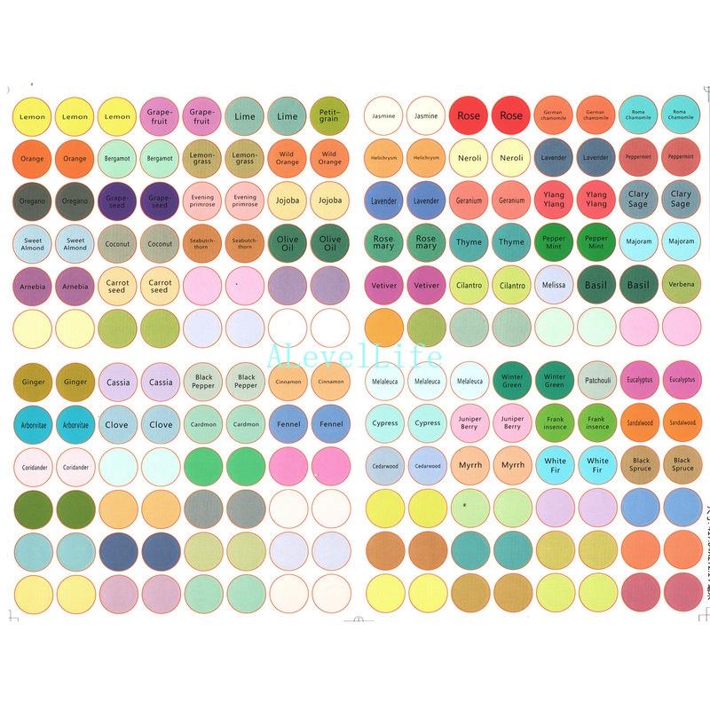 192PCs 13MM A4 ฉลากสติกเกอร์กระดาษทรงกลมสำหรับฝาขวดน้ำมันหอมระเหยรหัสสี ...