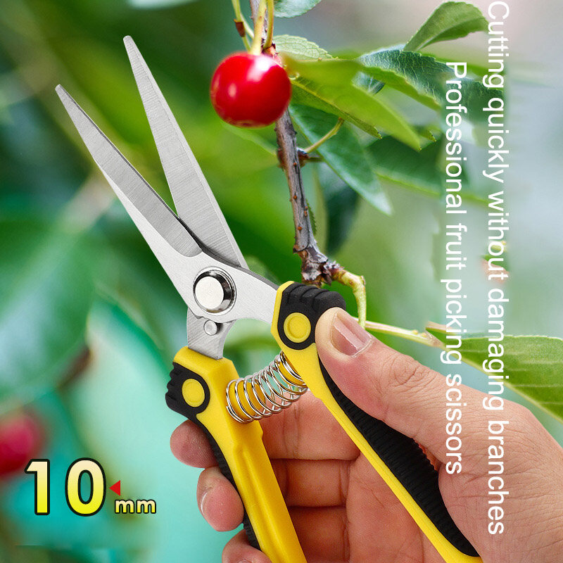 Fruit tree scissors, pruning scissors, pruning branch scissors, strong trimming flower scissors, horticultural scissors, flower garden fruit picking scissors