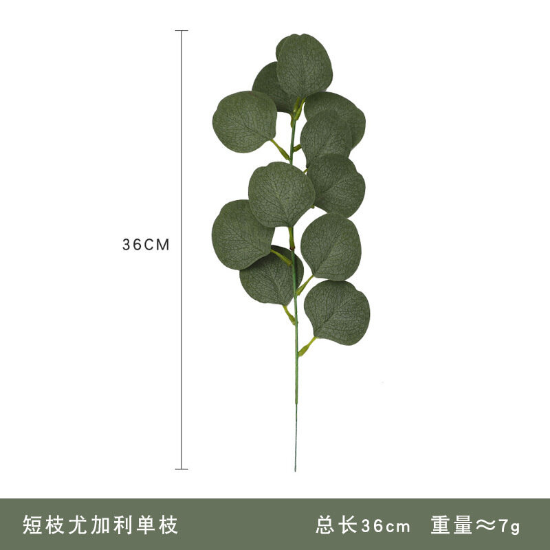 My Image 26