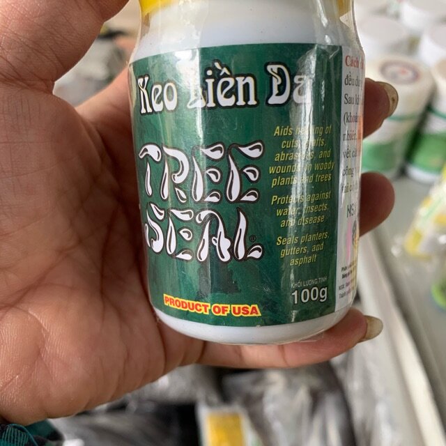 Keo liền da cây tree seal