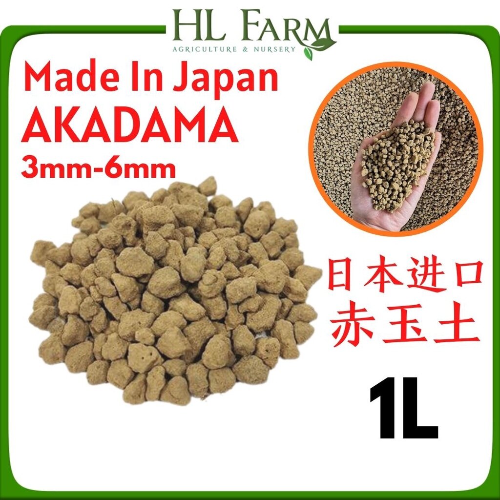 Akadama 赤玉土 日本进口 3mm 6mm 1l Lazada