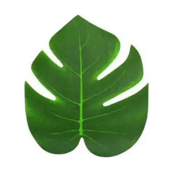 800+ Gambar Daun Tropis HD Terbaru 800+ Gambar Daun Tropis HD Terbaru