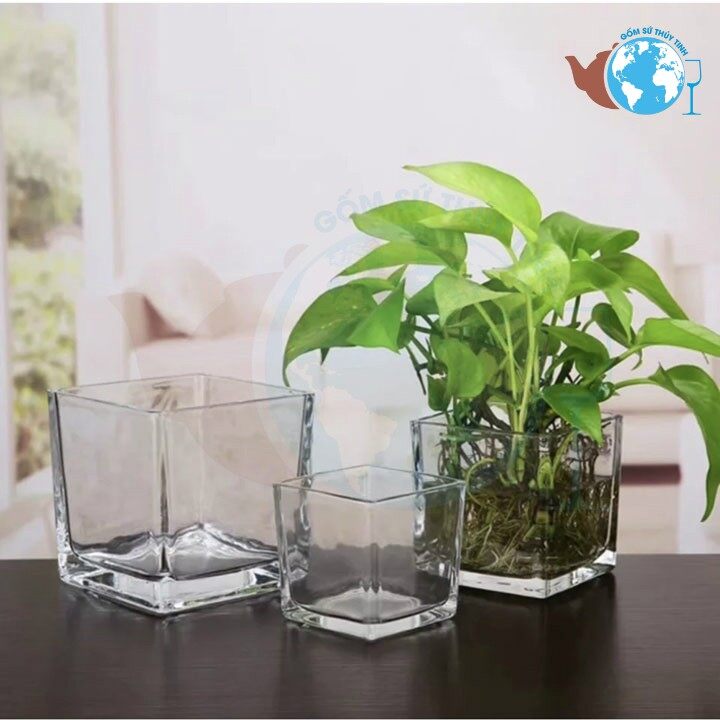 12cm x 12cm - bình bông lọ hoa trụ vuông