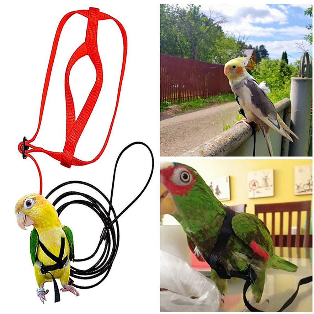 BETOP Adjustable Pet Bird Parrot Harness Leash Outdoor Flying Traction